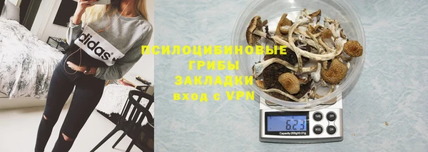 метамфетамин Козловка