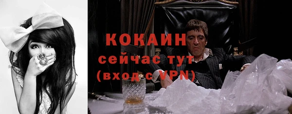 мяу мяу мука Куйбышев