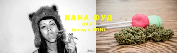 мдпв Костерёво