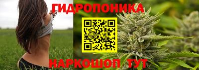 apvp Волгодонск