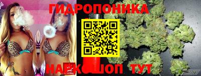 СК Волжск