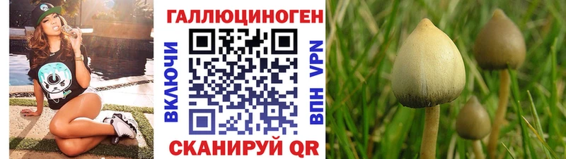 Галлюциногенные грибы Magic Shrooms  Курчатов 