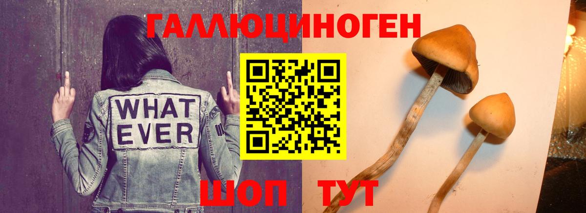 Галлюциногенные грибы MAGIC MUSHROOMS  Вход с VPN  наркошоп  Курчатов 