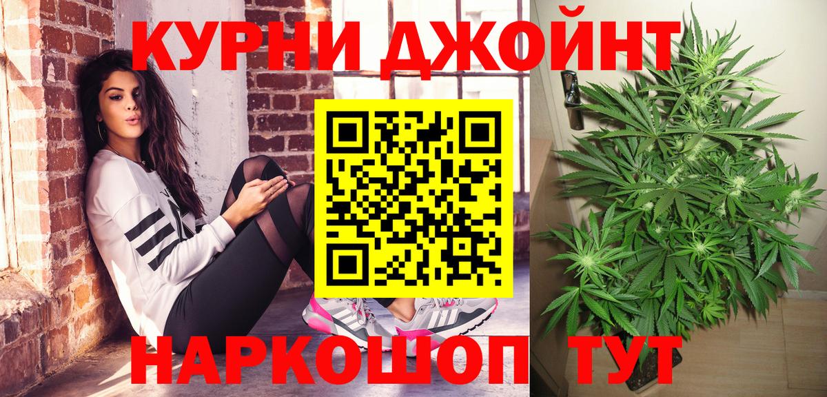 Конопля гибрид  Бошки Шишки семена  Курчатов  Шишки марихуана AK-47  Вход с VPN 